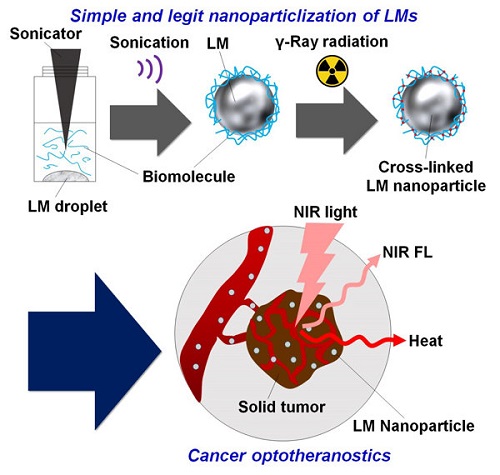 Schematic illustration of cancer optotheranostics using functional liquid metal nanoparticles