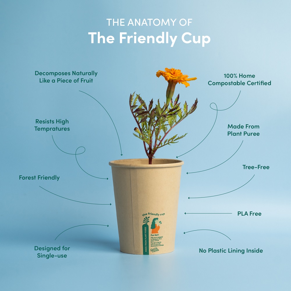 The Anatomy of The Friendly Cup.