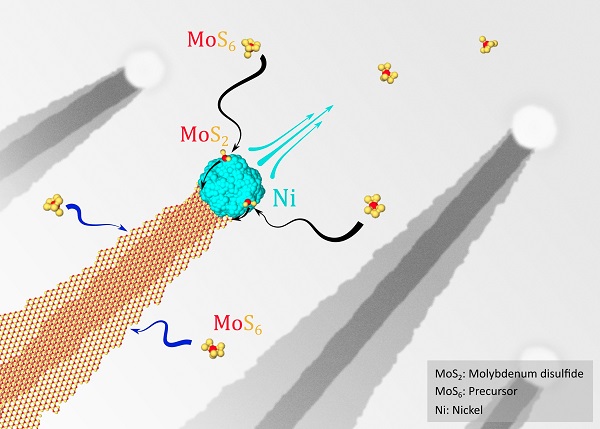 Illustration of nanoribbon growth enabled by Ni